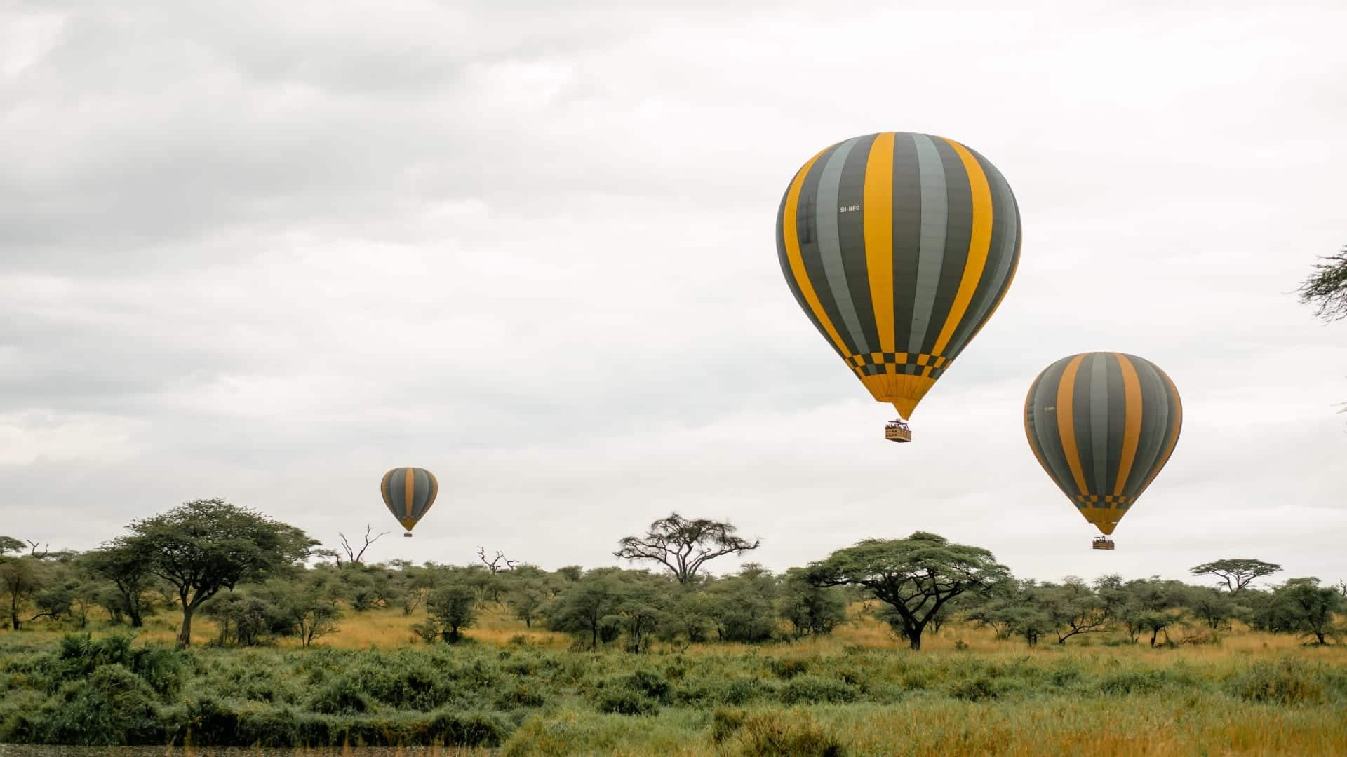 serengeti balloon safari price